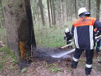 Waldbrand