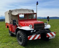 Dodge MZF